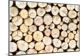 Firewood Free-Standing Stack, Seamless Pattern-Lena_Zajchikova-Mounted Photographic Print