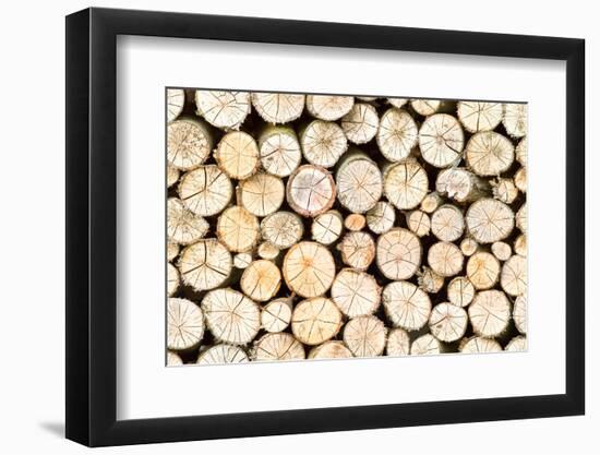 Firewood Free-Standing Stack, Seamless Pattern-Lena_Zajchikova-Framed Photographic Print