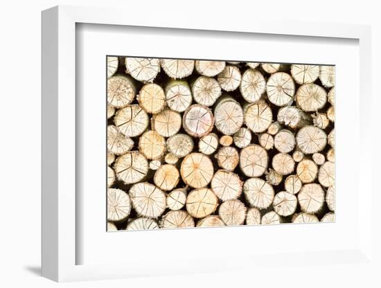 Firewood Free-Standing Stack, Seamless Pattern-Lena_Zajchikova-Framed Photographic Print