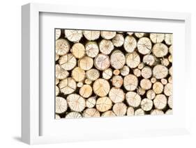 Firewood Free-Standing Stack, Seamless Pattern-Lena_Zajchikova-Framed Photographic Print