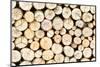 Firewood Free-Standing Stack, Seamless Pattern-Lena_Zajchikova-Mounted Photographic Print