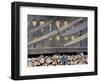 Firewood. Predazzo in valley Val di Fiemme, in the Dolomites Italy.-Martin Zwick-Framed Photographic Print