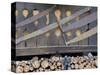 Firewood. Predazzo in valley Val di Fiemme, in the Dolomites Italy.-Martin Zwick-Stretched Canvas