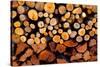 Firewood Stacked Fire Wood with Different Sizes-holbox-Stretched Canvas