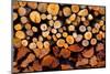 Firewood Stacked Fire Wood with Different Sizes-holbox-Mounted Photographic Print