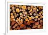 Firewood Stacked Fire Wood with Different Sizes-holbox-Framed Photographic Print