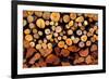 Firewood Stacked Fire Wood with Different Sizes-holbox-Framed Photographic Print