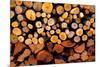 Firewood Stacked Fire Wood with Different Sizes-holbox-Mounted Photographic Print