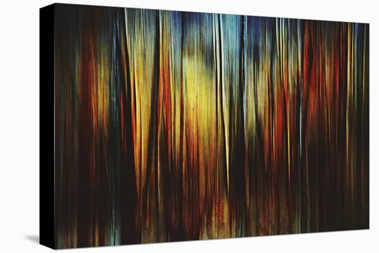 Firewood-Ursula Abresch-Stretched Canvas