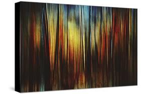 Firewood-Ursula Abresch-Stretched Canvas