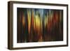 Firewood-Ursula Abresch-Framed Photographic Print