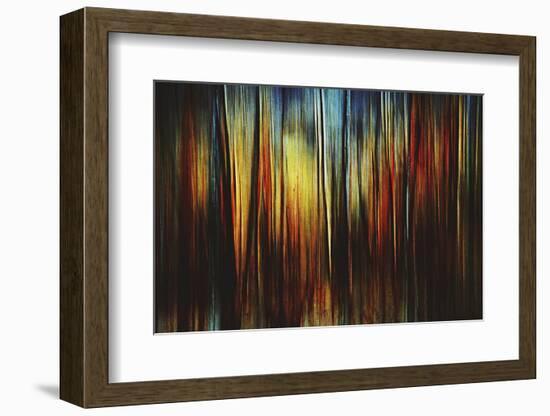 Firewood-Ursula Abresch-Framed Photographic Print