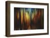 Firewood-Ursula Abresch-Framed Photographic Print