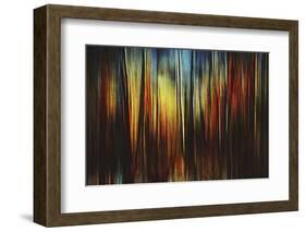 Firewood-Ursula Abresch-Framed Photographic Print