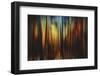 Firewood-Ursula Abresch-Framed Photographic Print