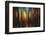 Firewood-Ursula Abresch-Framed Photographic Print