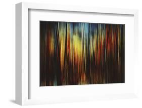 Firewood-Ursula Abresch-Framed Photographic Print