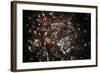 Firework Display, 2005-Peter Thompson-Framed Photographic Print