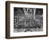 Firework Display at Thames, London-null-Framed Giclee Print