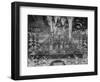 Firework Display at Thames, London-null-Framed Giclee Print