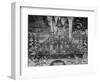 Firework Display at Thames, London-null-Framed Giclee Print