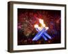 Fireworks after Gretzky Lit the Olympic Cauldron at the Opening Ceremonies of the 2010 Winter Games-null-Framed Photographic Print