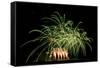 Fireworks at Havasu I-George Johnson-Framed Stretched Canvas