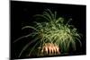 Fireworks at Havasu I-George Johnson-Mounted Photographic Print