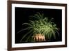 Fireworks at Havasu I-George Johnson-Framed Photographic Print