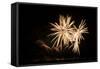 Fireworks at Havasu II-George Johnson-Framed Stretched Canvas