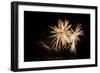 Fireworks at Havasu II-George Johnson-Framed Photographic Print