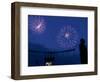 Fireworks at Kauffman Stadium, Kansas City, Missouri-Charlie Riedel-Framed Photographic Print