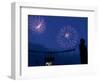 Fireworks at Kauffman Stadium, Kansas City, Missouri-Charlie Riedel-Framed Photographic Print