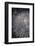 Fireworks at Rapallo-Claudiogiovanni-Framed Photographic Print