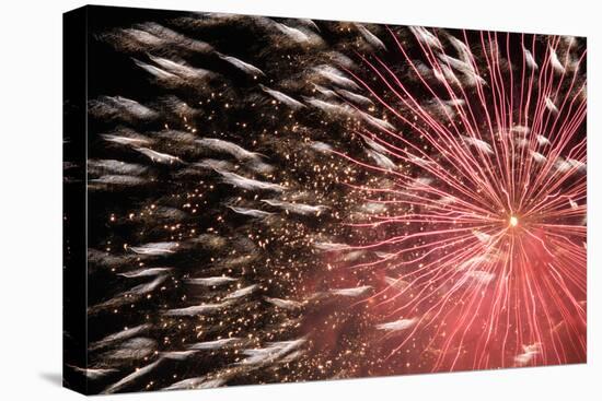 Fireworks Bloom Like a Flower in the Night Sky in Kobe-Ryuji Adachi-Stretched Canvas