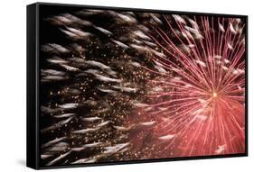 Fireworks Bloom Like a Flower in the Night Sky in Kobe-Ryuji Adachi-Framed Stretched Canvas