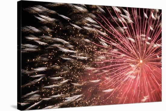 Fireworks Bloom Like a Flower in the Night Sky in Kobe-Ryuji Adachi-Stretched Canvas