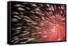 Fireworks Bloom Like a Flower in the Night Sky in Kobe-Ryuji Adachi-Framed Stretched Canvas