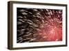 Fireworks Bloom Like a Flower in the Night Sky in Kobe-Ryuji Adachi-Framed Photographic Print