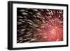 Fireworks Bloom Like a Flower in the Night Sky in Kobe-Ryuji Adachi-Framed Photographic Print