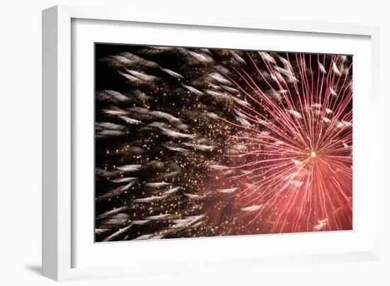 Fireworks Bloom Like a Flower in the Night Sky in Kobe-Ryuji Adachi-Framed Photographic Print