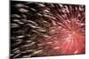 Fireworks Bloom Like a Flower in the Night Sky in Kobe-Ryuji Adachi-Mounted Photographic Print