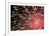 Fireworks Bloom Like a Flower in the Night Sky in Kobe-Ryuji Adachi-Framed Photographic Print