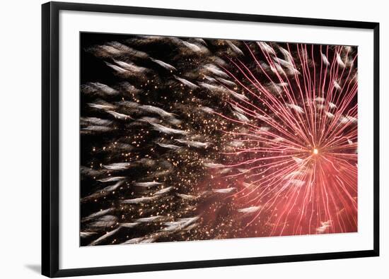 Fireworks Bloom Like a Flower in the Night Sky in Kobe-Ryuji Adachi-Framed Photographic Print