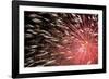 Fireworks Bloom Like a Flower in the Night Sky in Kobe-Ryuji Adachi-Framed Photographic Print