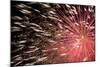 Fireworks Bloom Like a Flower in the Night Sky in Kobe-Ryuji Adachi-Mounted Photographic Print