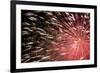 Fireworks Bloom Like a Flower in the Night Sky in Kobe-Ryuji Adachi-Framed Photographic Print