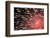 Fireworks Bloom Like a Flower in the Night Sky in Kobe-Ryuji Adachi-Framed Photographic Print