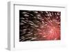 Fireworks Bloom Like a Flower in the Night Sky in Kobe-Ryuji Adachi-Framed Photographic Print