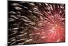 Fireworks Bloom Like a Flower in the Night Sky in Kobe-Ryuji Adachi-Mounted Photographic Print